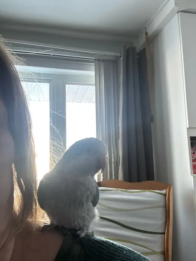 Kakers tout équipé - Photo 4