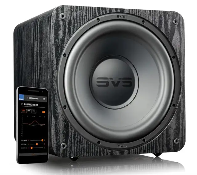 SVS SUBWOOFER