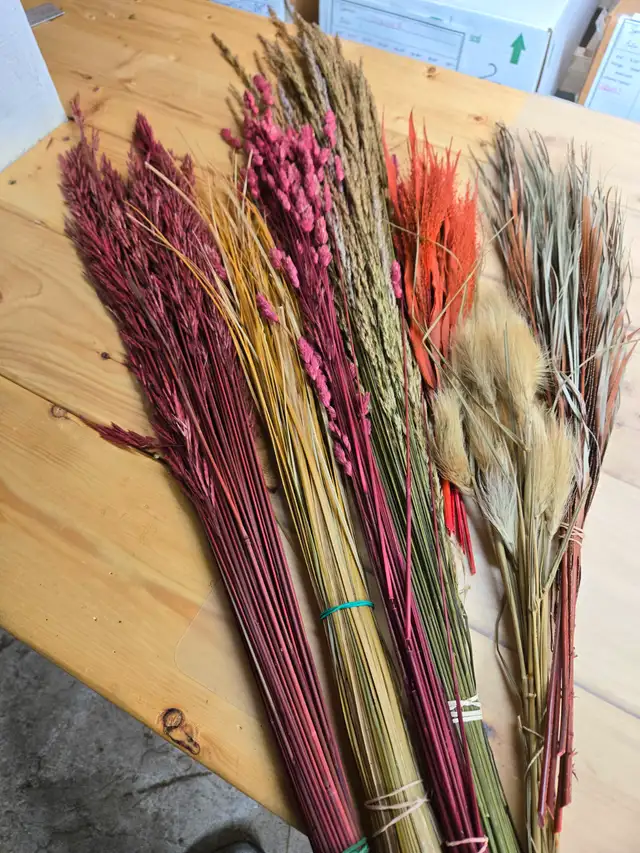 Preserved and Dried Floral  Inventory Lot Sale