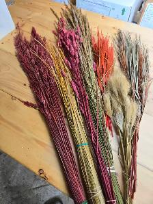 Preserved and Dried Floral  Inventory Lot Sale