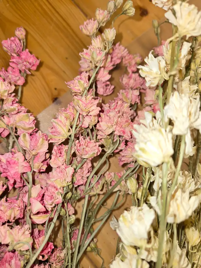 Preserved and Dried Floral  Inventory Lot Sale - Photo 2