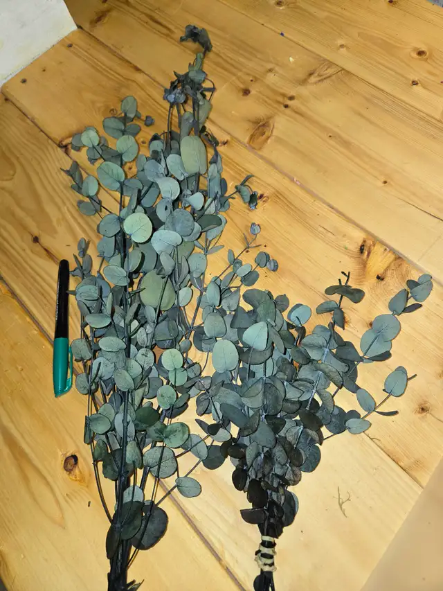 Preserved and Dried Floral  Inventory Lot Sale - Photo 3