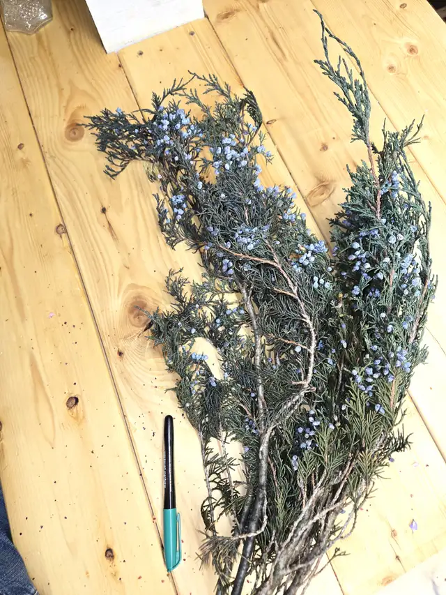 Preserved and Dried Floral  Inventory Lot Sale - Photo 6