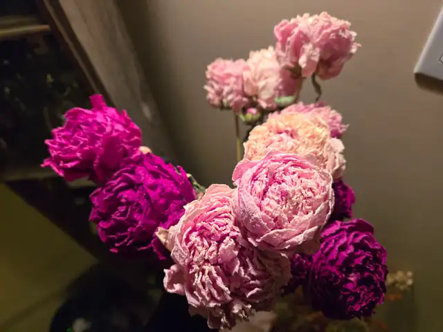 Preserved and Dried Floral  Inventory Lot Sale - Photo 7