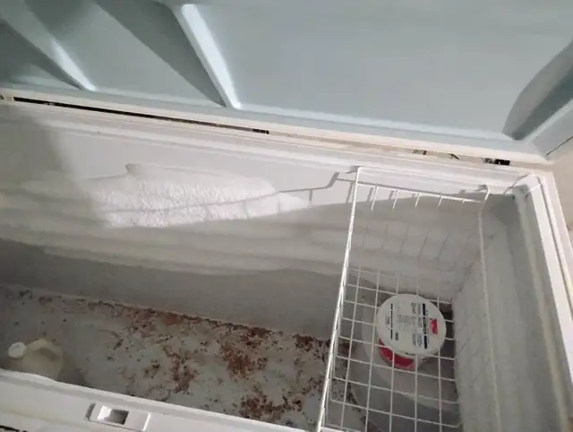 Congélateur à vendre - Photo 2