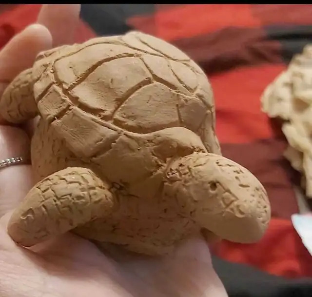 wisdom turtle statue