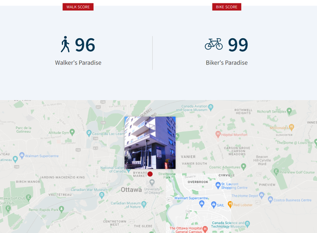 Bachelor Unit in Sandy Hill Available For June1st | Pet Friendly - Photo 14