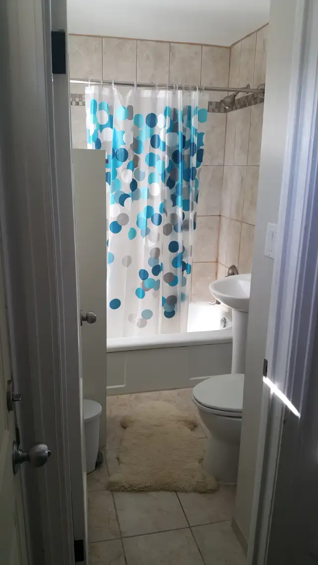 Full house for rent in excellent Crescentwood neighborhood - Photo 7