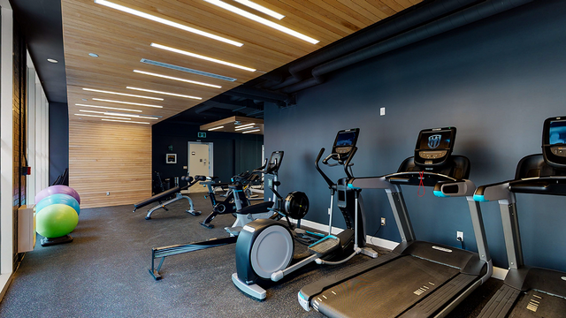 1 Bedroom Apartment | Downtown | Pet Friendly | Avail June! - Photo 12