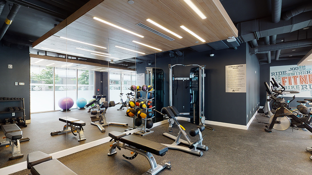 1 Bedroom Apartment | Downtown | Pet Friendly | Avail June! - Photo 19