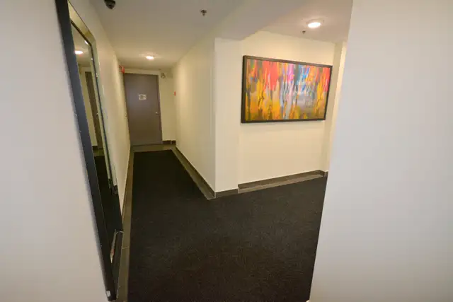 Bachelor for June 1, all-inclusive, easy access to Kanata - Photo 18