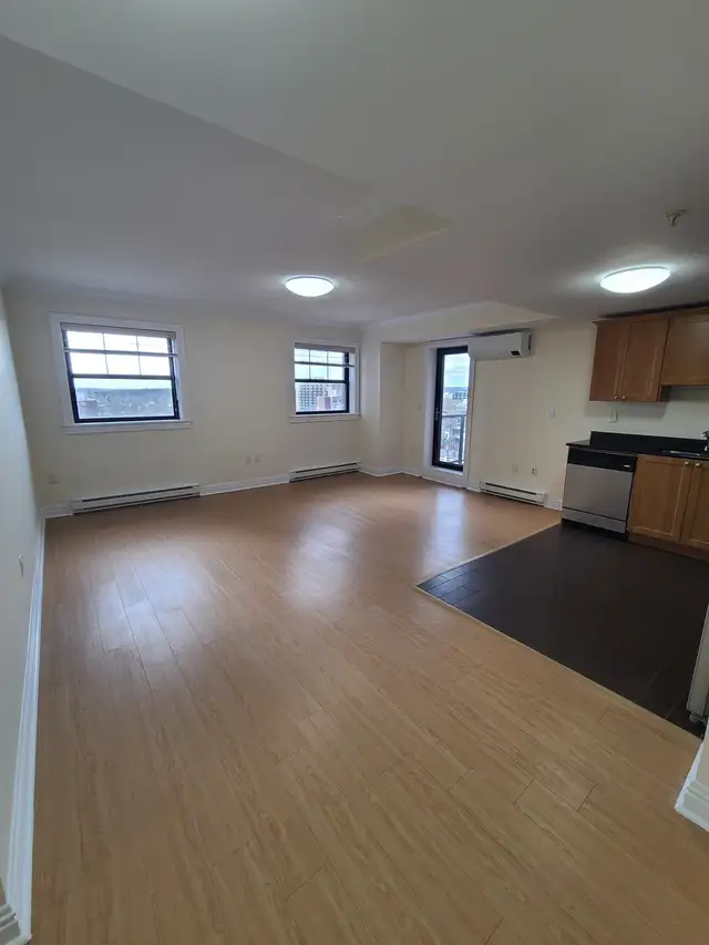 Luxury 2-Bed/2-Bath - Unit 1004 - In-Suite Laundry - The James - Photo 7