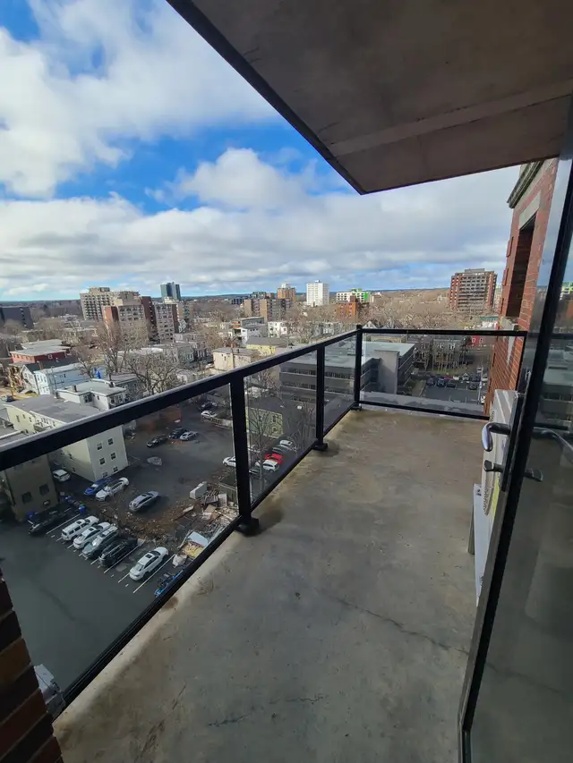 Luxury 2-Bed/2-Bath - Unit 1004 - In-Suite Laundry - The James - Photo 15