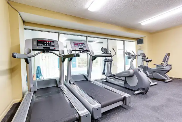 LARGE, RENOVATED 3 BEDROOM TOWNHOME IN DUNDAS! - Photo 4