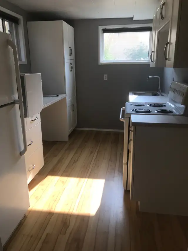 Basement Suite for Rent May 1st. - Photo 8