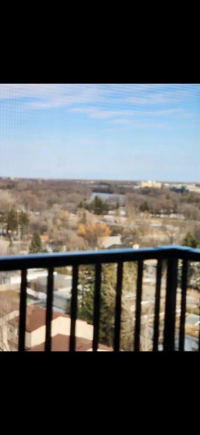 1 Bedroom Appartment for rent $1399.00 Per Month. Top Floor Unit - Photo 3