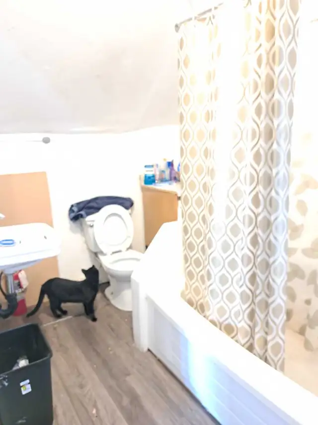 2 bedroom shared accommodation - Photo 5