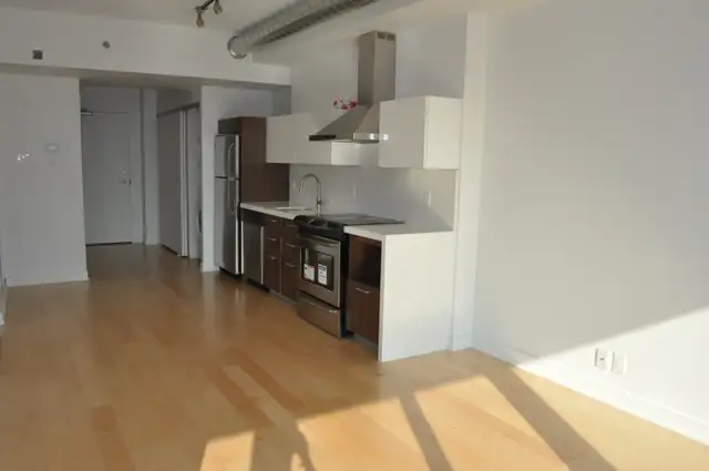 Downtown Luxury Condo for Rent for May 1st! - Photo 2