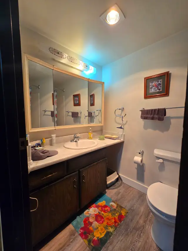 1 BEDROOM APARTMENT - PET FRIENDLY-HEAT INCLUDED - Photo 9