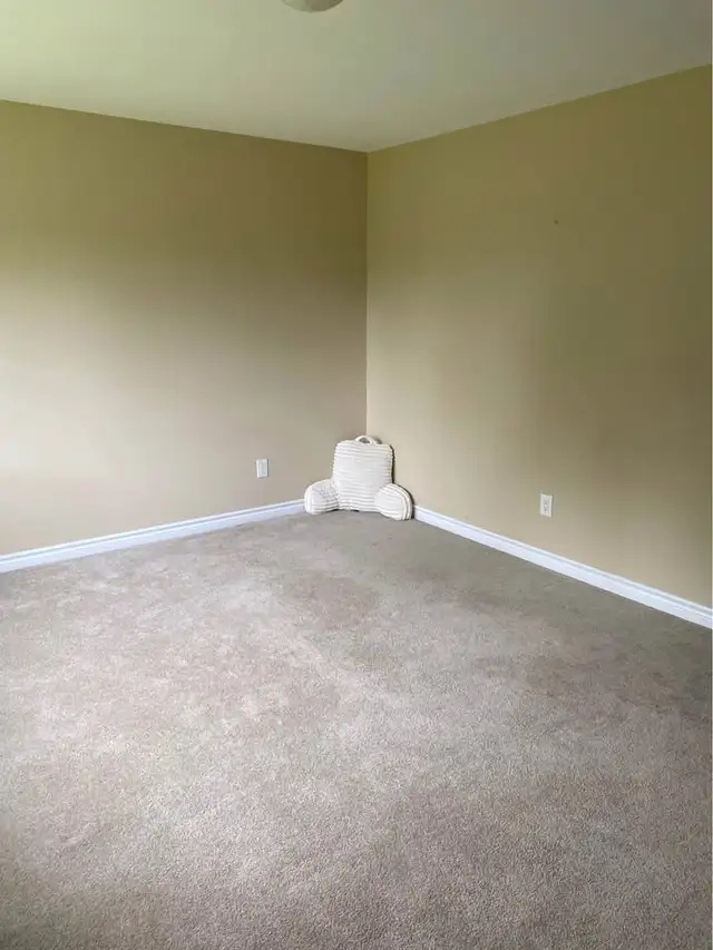 Orleans nice master bedroom with private bathroom for rent $1050 - Photo 6