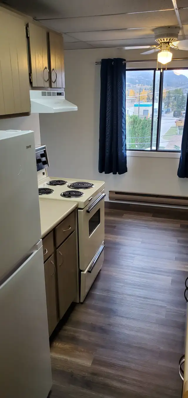 MAIN FLOOR – 1 BDRM – CAT FRIENDLY - Photo 2