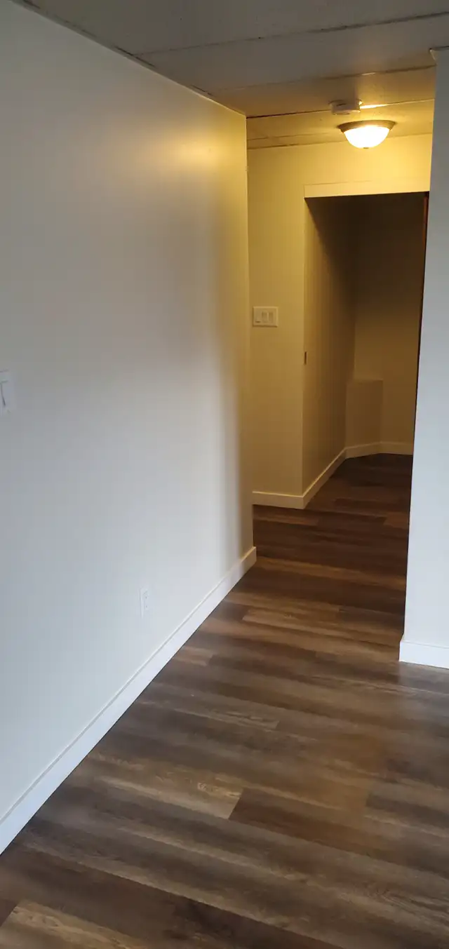 MAIN FLOOR – 1 BDRM – CAT FRIENDLY - Photo 5