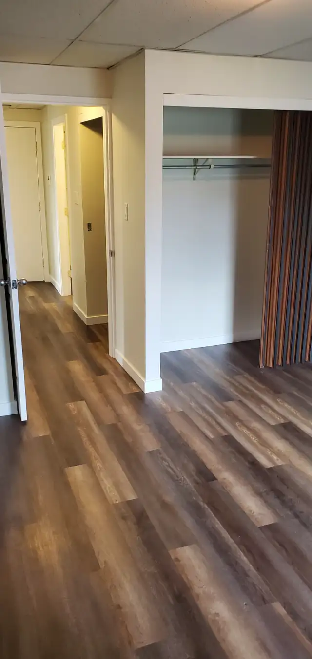 MAIN FLOOR – 1 BDRM – CAT FRIENDLY - Photo 7