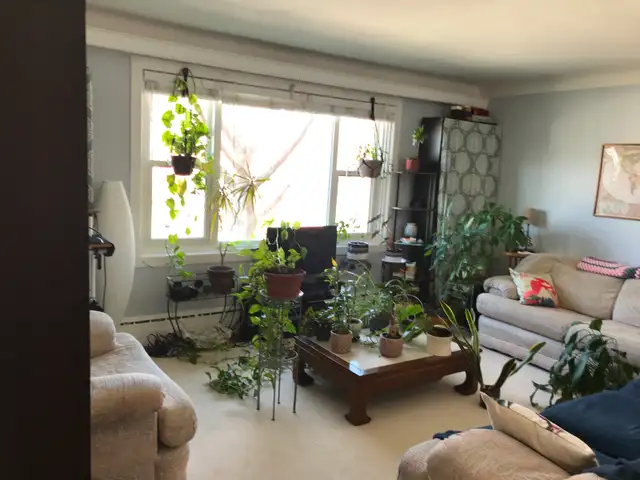 215 Granville StreetVery large Two- Bedroom Apt. - Photo 3