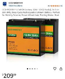 ECO-WORTHY Battery