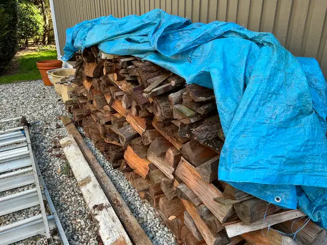 FIREWOOD FOR CAMPING - well aged - Photo 2