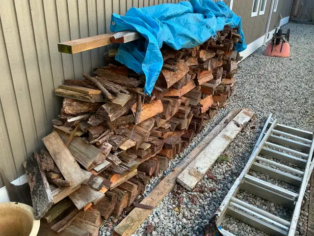 FIREWOOD FOR CAMPING - well aged - Photo 3