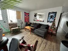 1bd full apt - july 1 - central by beach - 1200