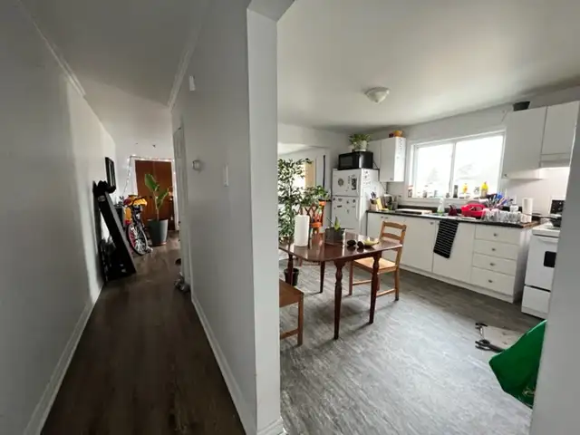 1bd full apt - july 1 - central by beach - 1200 - Photo 2