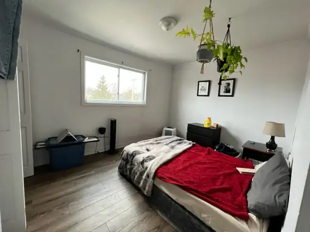 1bd full apt - july 1 - central by beach - 1200 - Photo 3