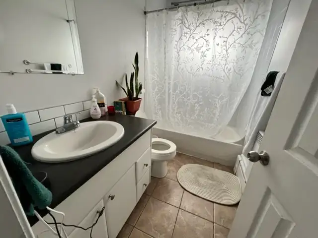 1bd full apt - july 1 - central by beach - 1200 - Photo 4