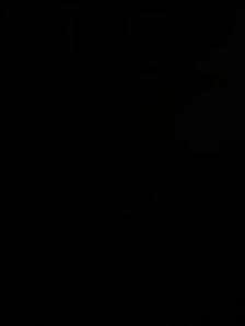 looking for friendship