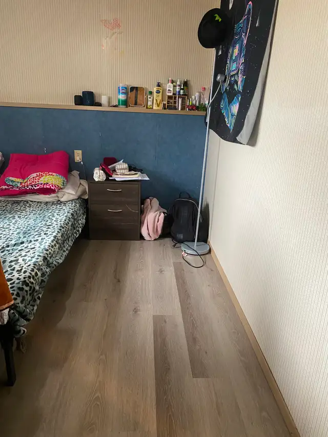 1-bedroom basement suite for rent-May 01, 2026 for (female only)