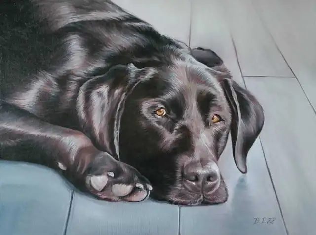 Custom Artwork for sale or order