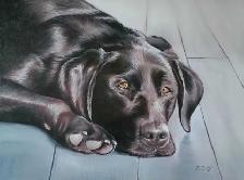 Custom Artwork for sale or order