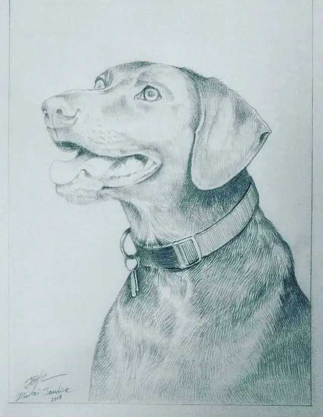 Custom Artwork for sale or order - Photo 8