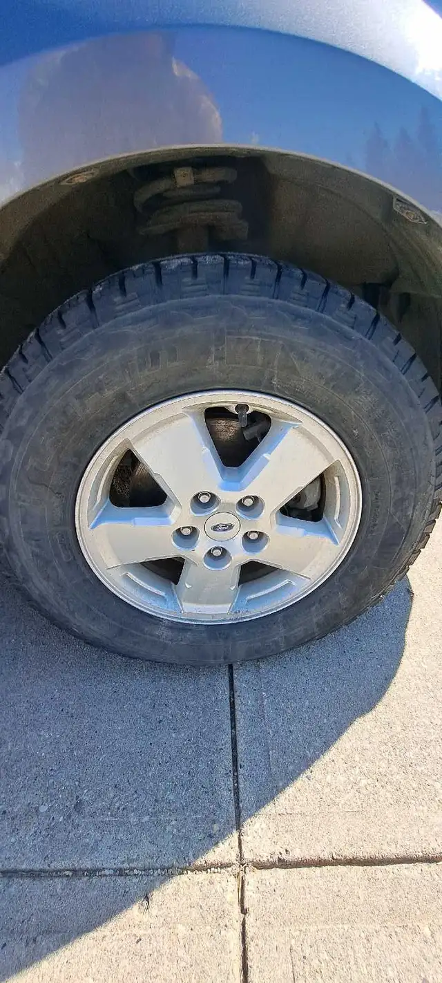 2009 Ford Escape AWD - Photo 3