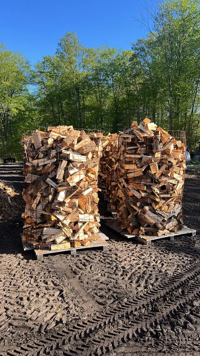 Aggregate - Soils - Mulch - Gravel - Sand - Disposal Bins - Photo 7