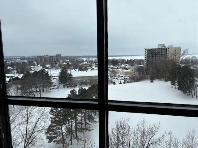 Condo for Rent - Photo 4