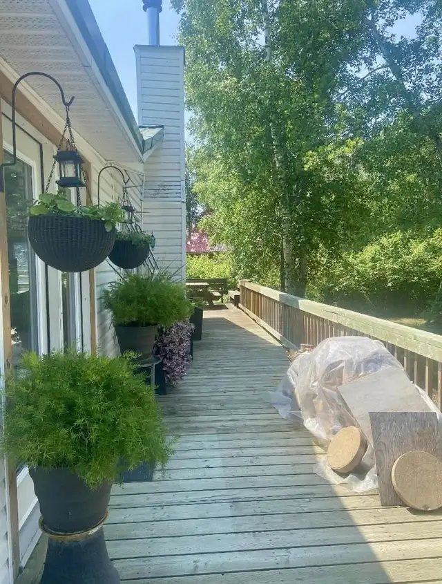 4 Season Cottage: Buffalo Point, MB - Photo 3