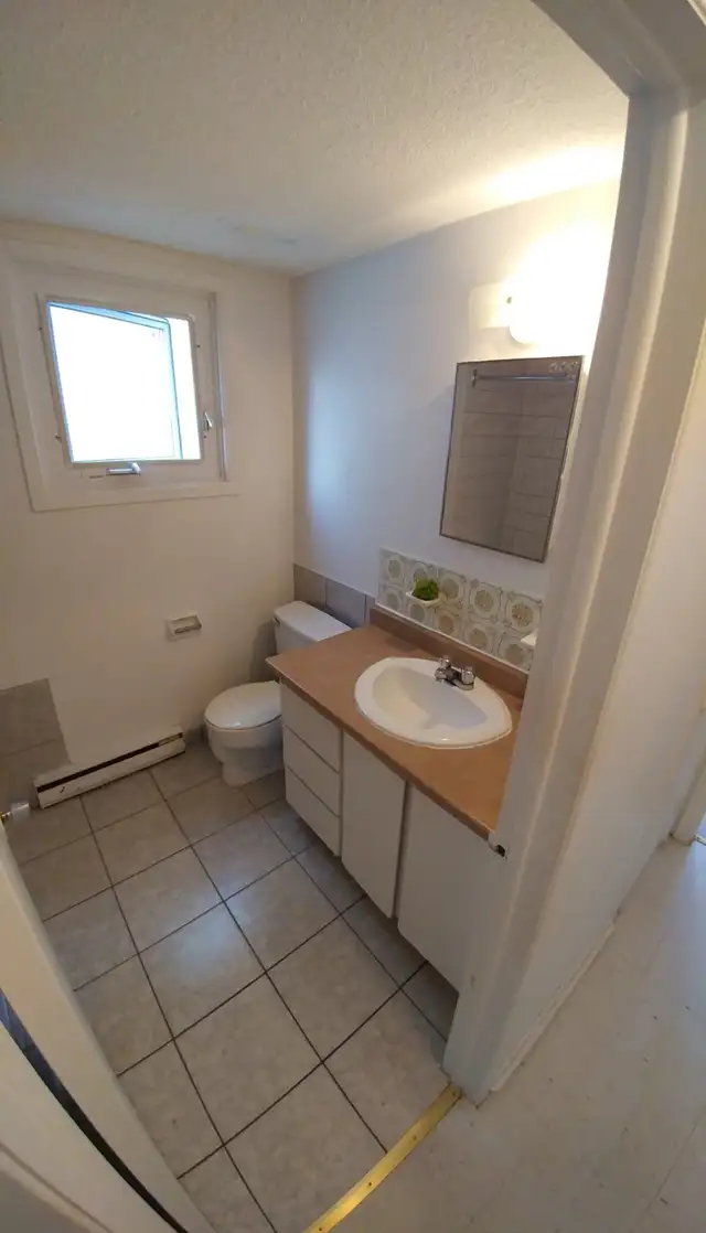 Appartement à Louer – Gatineau / Hull - Secteur Mont-Bleu - Photo 3