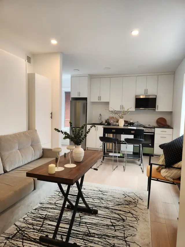 Full Furnished Bachelor Apartment $1825 - Photo 2