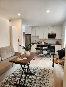 Full Furnished Bachelor Apartment $1825 - Photo 2