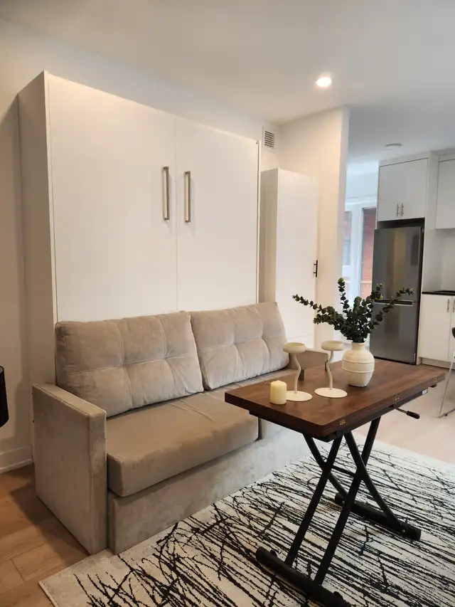 Full Furnished Bachelor Apartment $1825 - Photo 3