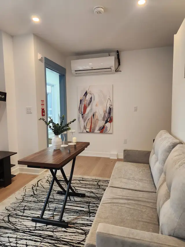 Full Furnished Bachelor Apartment $1825 - Photo 4