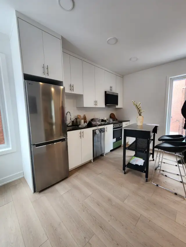 Full Furnished Bachelor Apartment $1825 - Photo 5